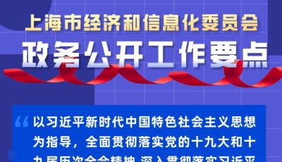【图解】2022年上海市经济和信息化委员会政务公开工作要点缩略图