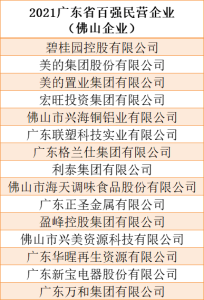 佛山15家企业上榜！“2021广东省百强民营企业”榜单发布插图