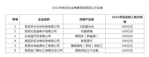 陕西2021年重点企业梯度奖励项目公示名单插图