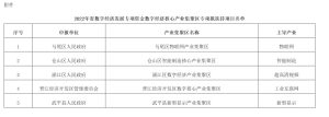 福建省数字福建建设领导小组办公室关于2022年省数字经济发展专项资金数字经济核心产业集聚区专项拟扶持项目的公示插图